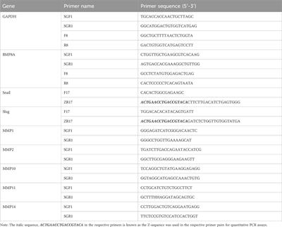 Upregulated bone morphogenetic protein 8A (BMP8A) in triple negative breast cancer (TNBC) and its involvement in the bone metastasis